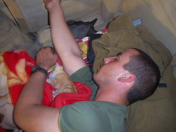 Soldier Sleeping With A Kitten