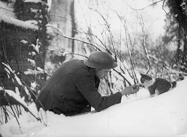A British Soldier “Shakes Hands” With A Kitten On A Snowy Bank