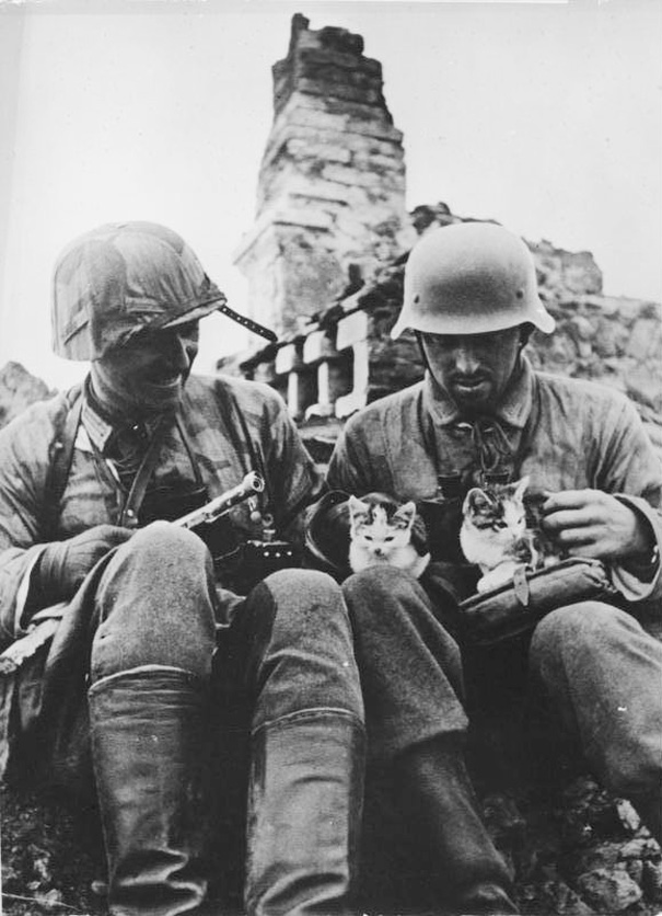 Soldiers Playing With Kittens