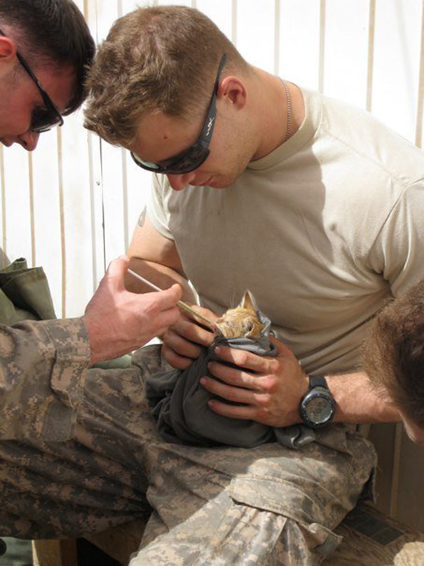 Soldiers Feeding A Kitten