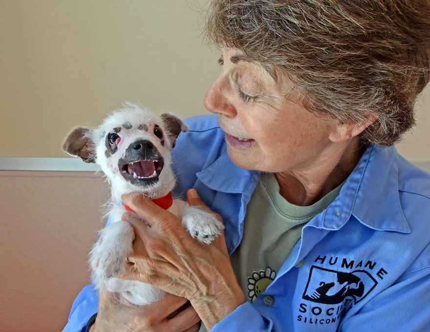 “Unusual Looking” Puppy Adopted By Family Who Didn't Care About Her Scars