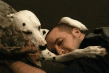12 Reasons Your Dog Is Irreplaceable