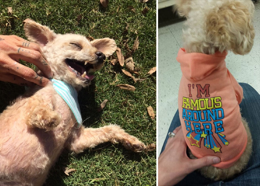 I Rescued A 2-Legged Stray Dog That Spent 10 Painful Years On The Streets