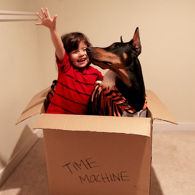 Cutie & The Beast: Girl And Doberman Do Everything Together From Sleeping To Bathing