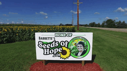 Man Plants 400 Acres Of Sunflowers To Honour Wife Lost To Cancer. Sells Seeds To Fund Cancer Research