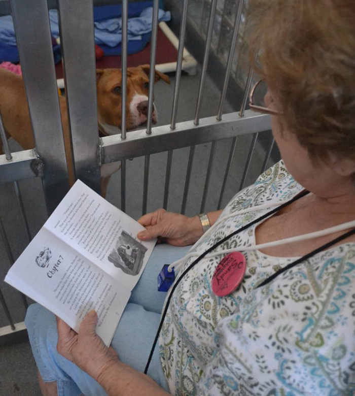 Woman Reads To Old Shelter Dogs To Make Them Feel Less Lonely