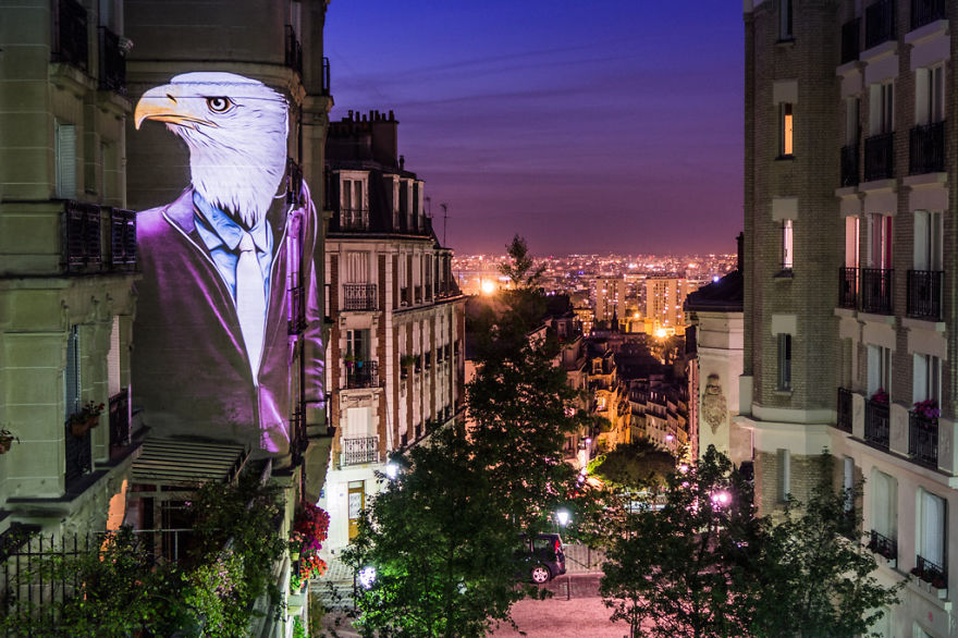 Stylish Animals Take Over The Buildings Of Paris
