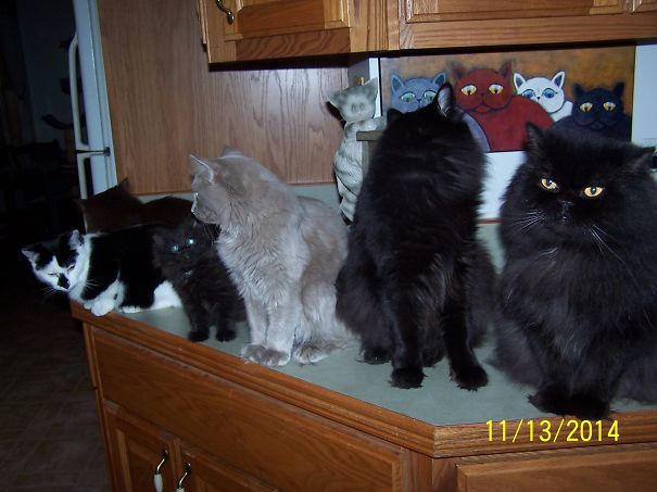 Feed Us First,,,,were Waiting,,,,,6 Or 15