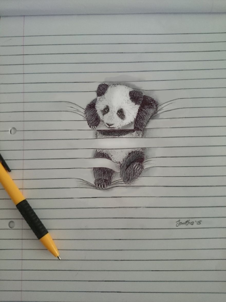 I Draw Animals That Don't Want To Stay Between The Lines | Bored Panda