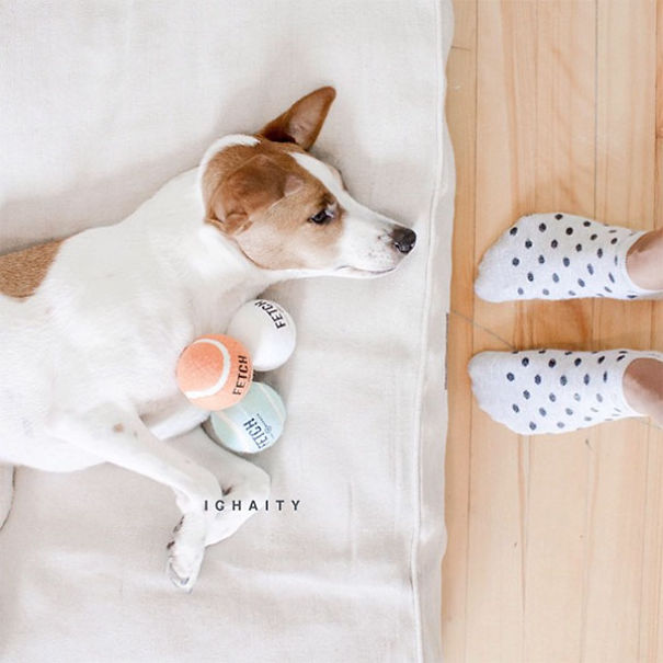 The Most Famous Dogs On Instagram
