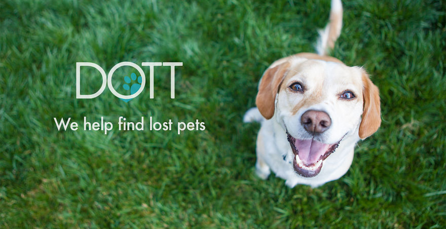Dott: The Smart Dog Tag For Pets Now On Kickstarter
