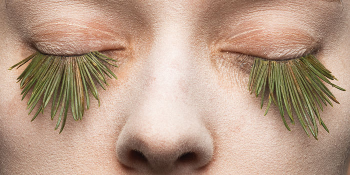 I Create 100% Natural Eyelashes From Plants, Eggs And Snow