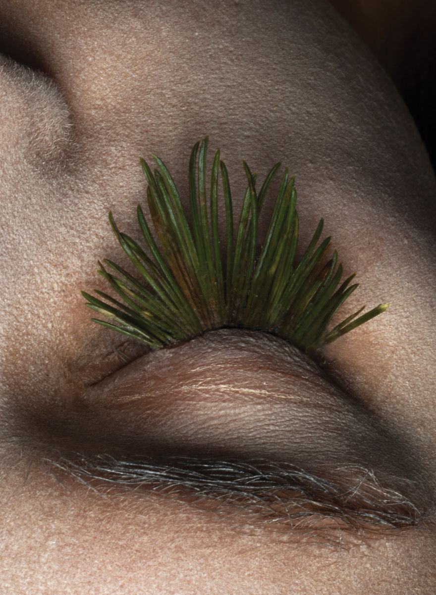 I Create 100% Natural Eyelashes From Plants, Eggs And Snow