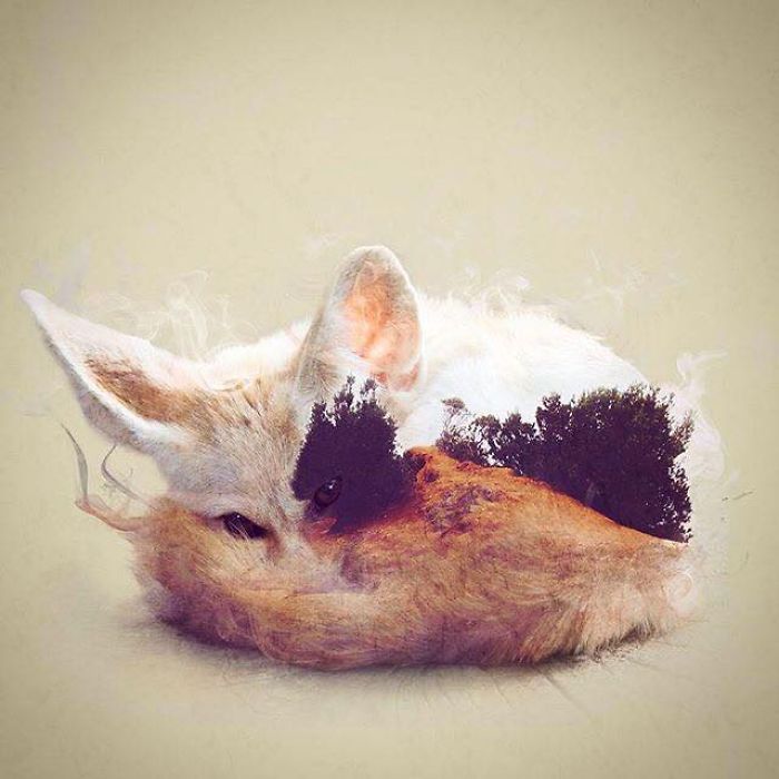 Wild Animals, Smoke And Nature Merged In My Double Exposure Photos