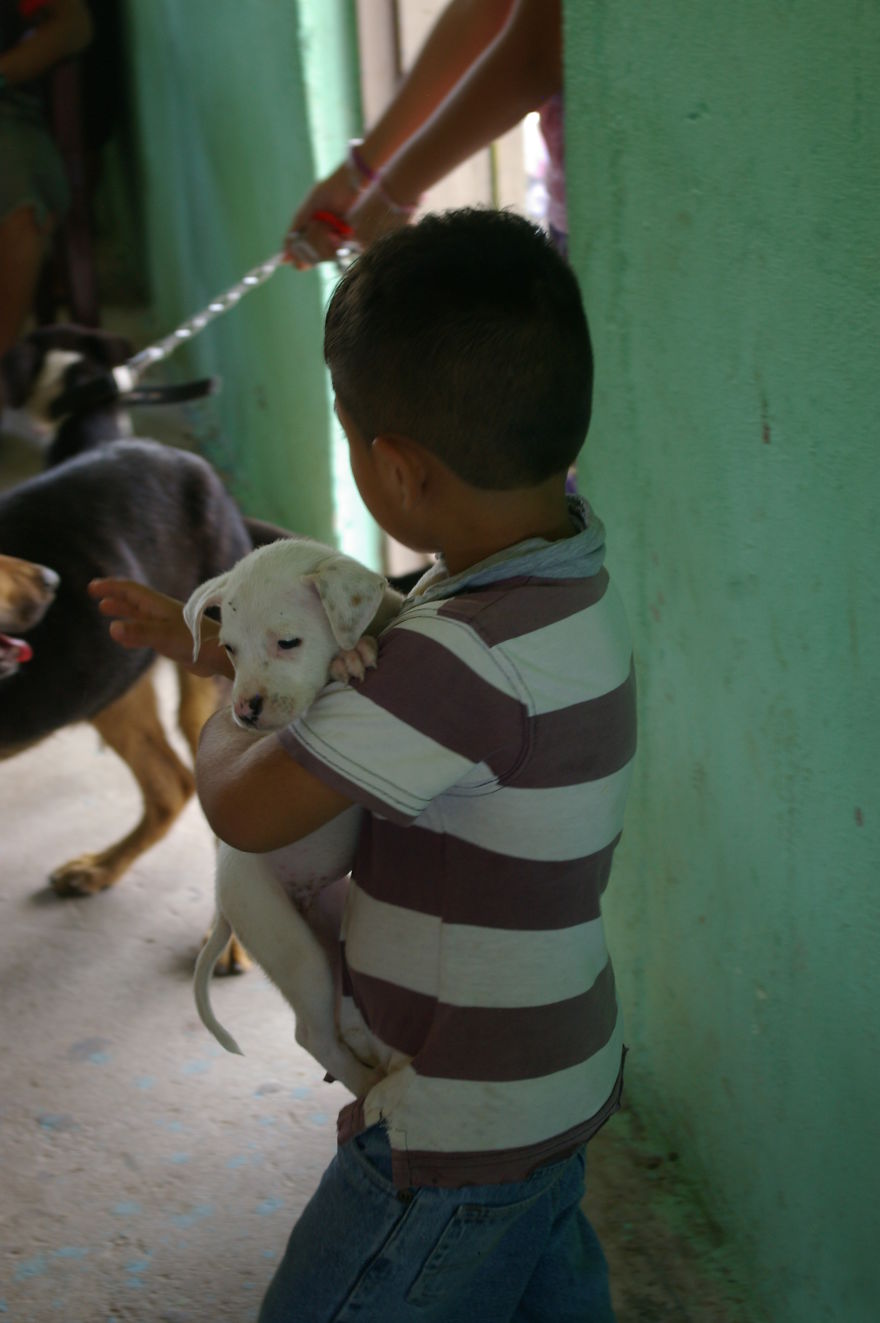A Win-win Solution For Animal Care In Belize