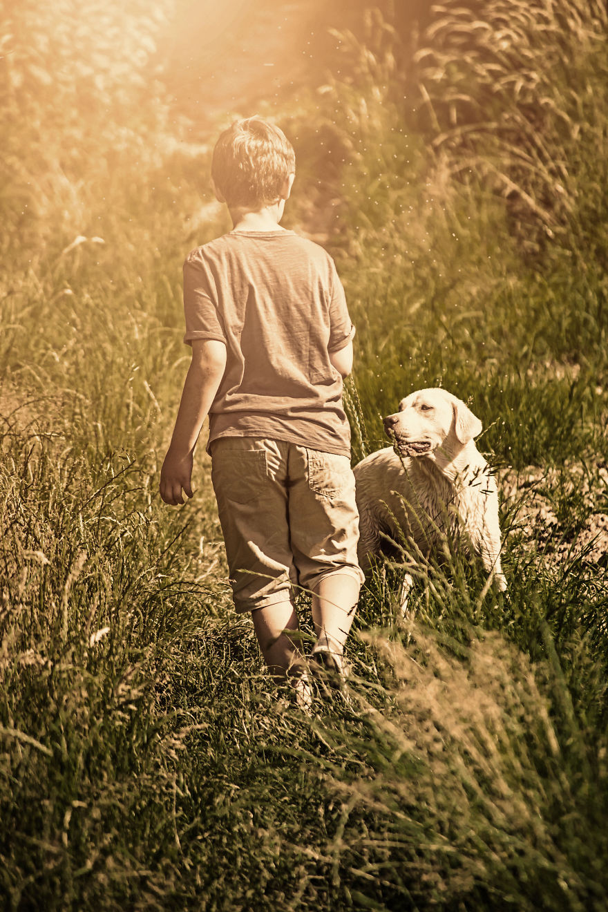 Beautiful Friendship Between My Son And Our Rescued Labrador (Part Two)