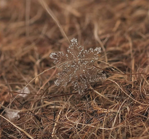 Ethereal Macro Photos Of Snowflakes In The Moments Before They Disappear