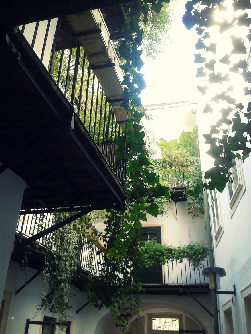 City Plants