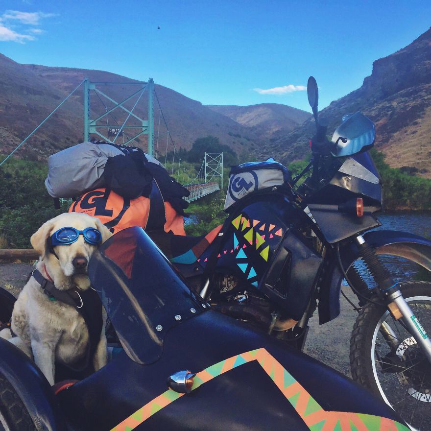 I Motorbiked 6,000 Miles To Alaska With My Dog And We're Still Going
