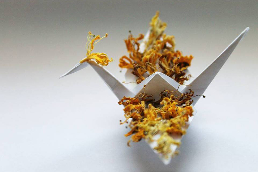 I Make An Origami Crane To Describe Every Day