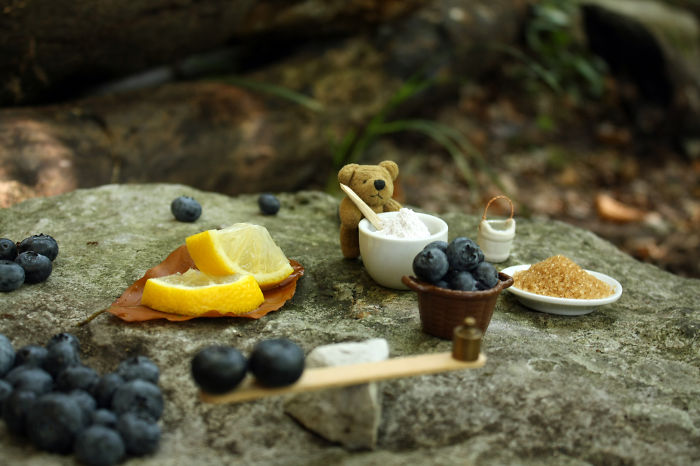 Learn How To Make Blueberry Jam With This Tiny Bear