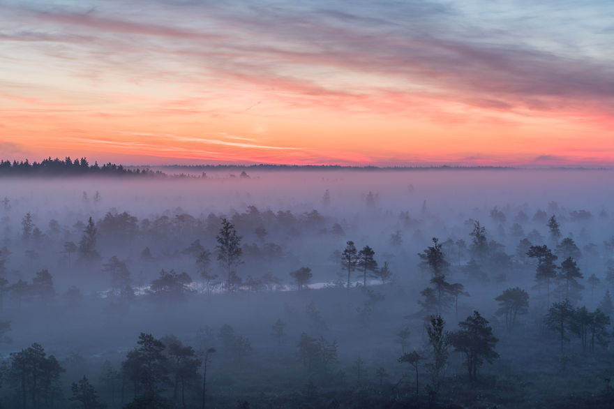 Magical Autumn Fog In Over 8000-Year-Old Kemeri Bog