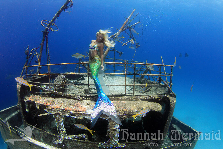 A Real-Life Mermaid Who Swims With Sharks Using Her Fish Tail And Holds Breath For 2 Minutes