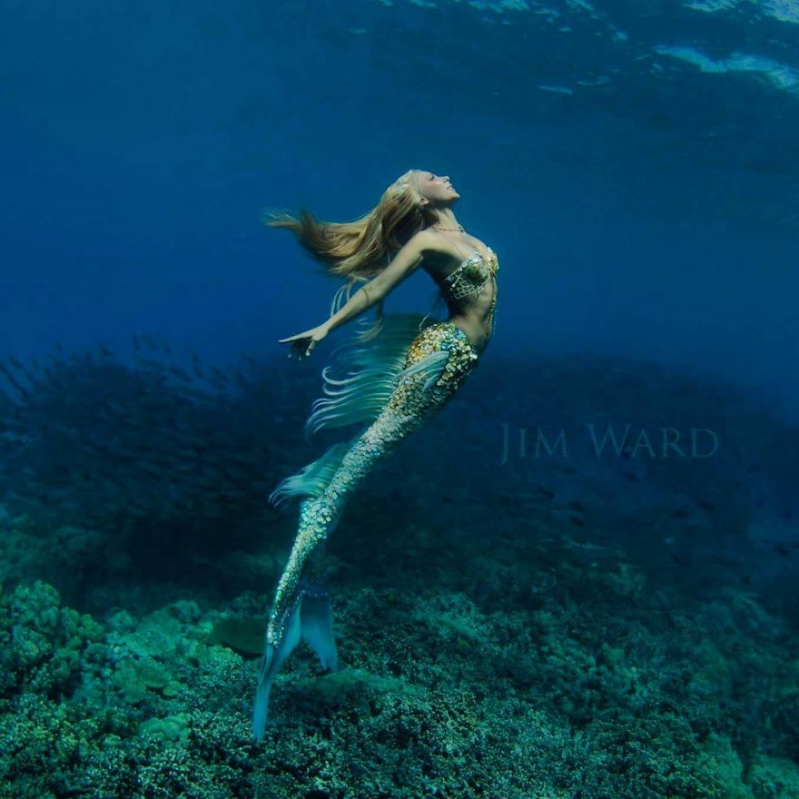 A Real-Life Mermaid Who Swims With Sharks Using Her Fish Tail And Holds Breath For 2 Minutes