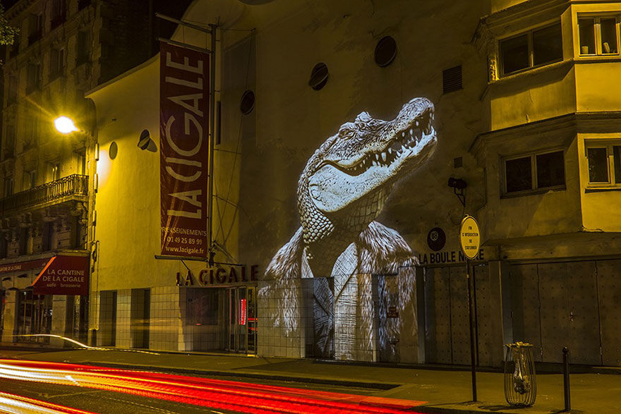 Stylish Animals Take Over The Buildings Of Paris