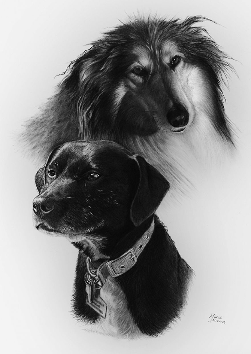 Photo-Realistic Portraits Of Pets.