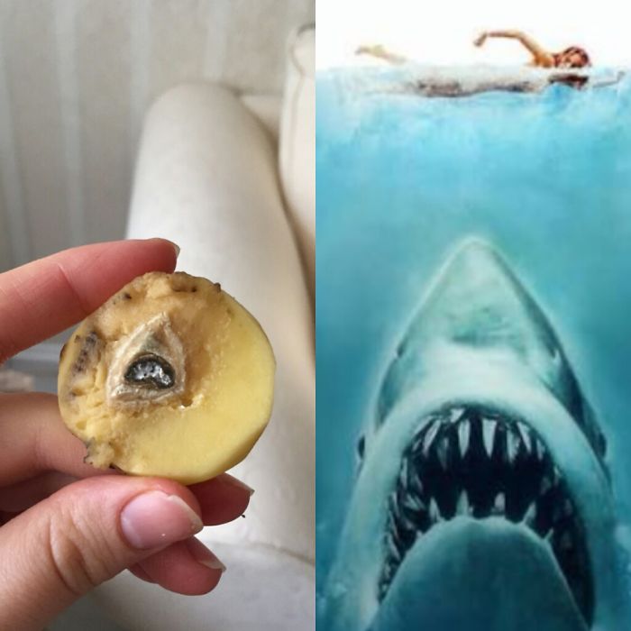 This Rotten Potato And The Shark From The Movie 'jaws'