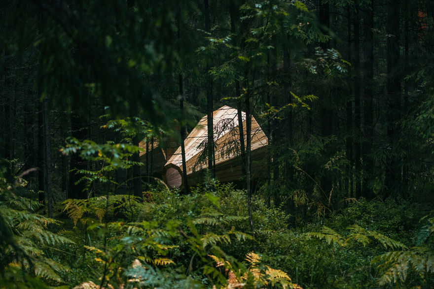 Estonian Students Build Giant Wooden Megaphones To Listen To The Forest