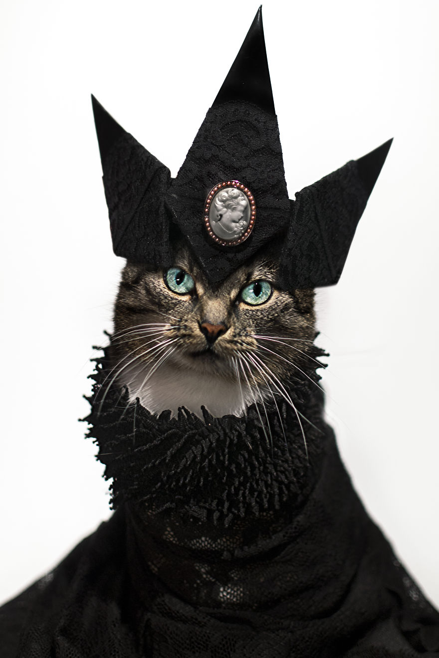 Photographer Turns His Leukemic Cat 'hummus' Into A Fashion Diva!