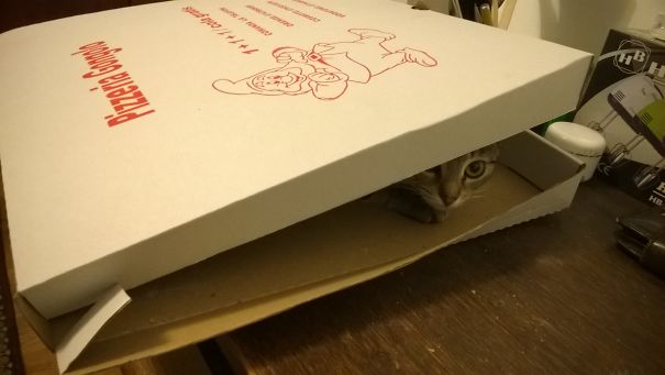 I Am A Pizza