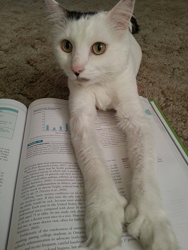 What Do You Mean You Have To Study?
