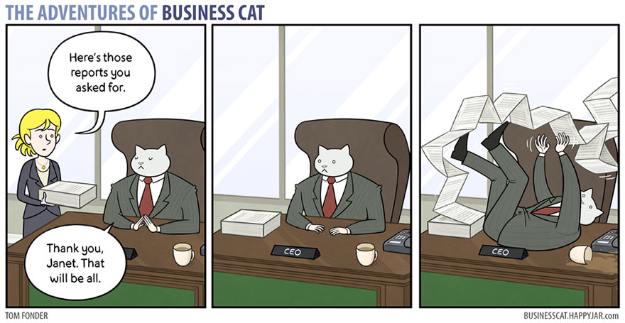 How Your Office Would Look If Your Boss Was A Cat | Bored Panda