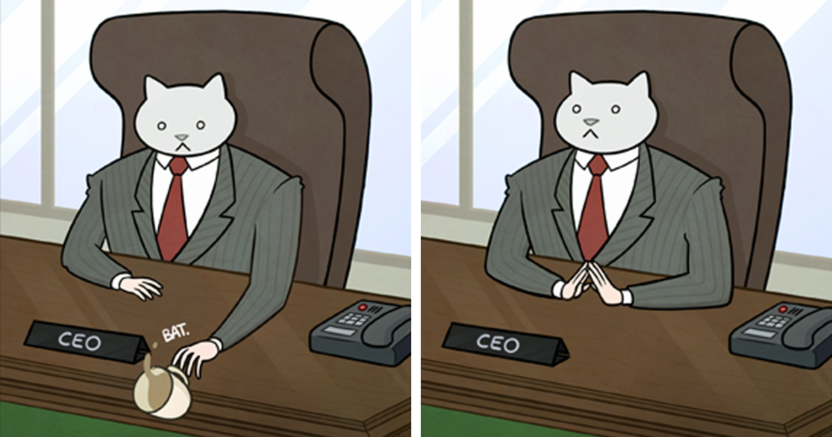 business cat meme box