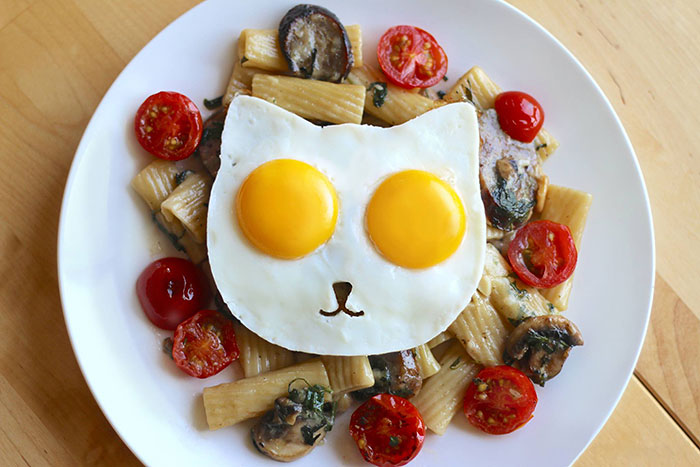 cat-shaped-egg-mold-sunny-side-breakfast-3