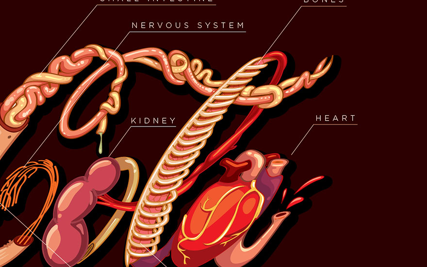 Coca-Cola's Honest Logo Shows Which Organs Are Harmed When You Drink It