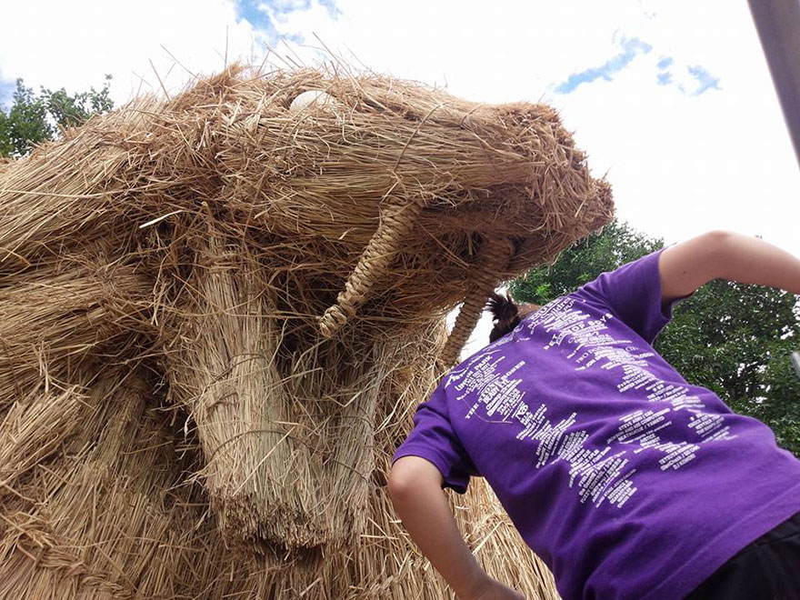 dinosaur-straw-sculptures-wara-art-festival-niigata-japan-11