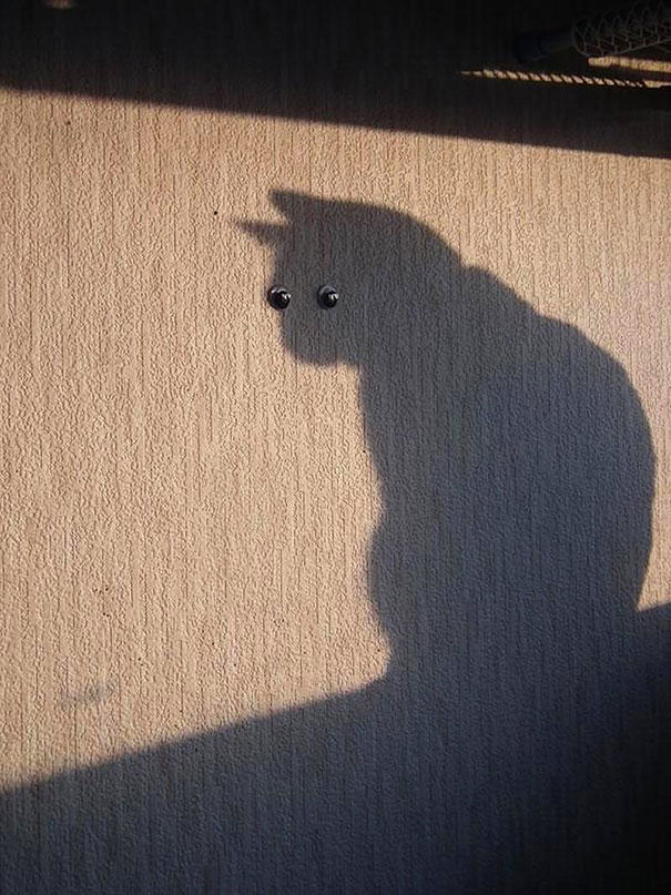 Perfectly Timed Shadow