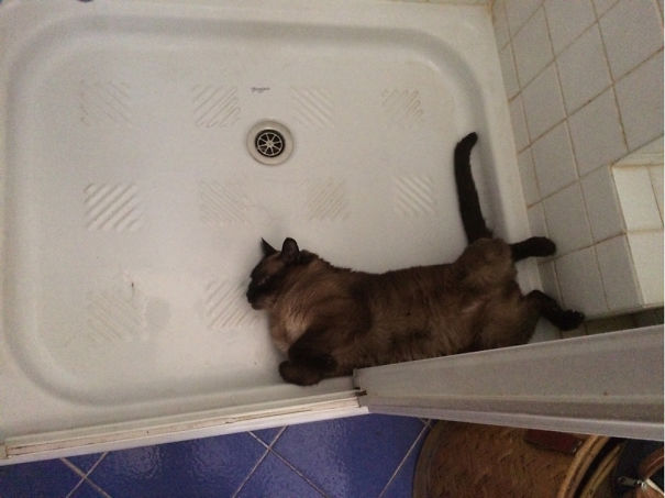 I Love Your Shower, It's A Good Place To Have A Rest