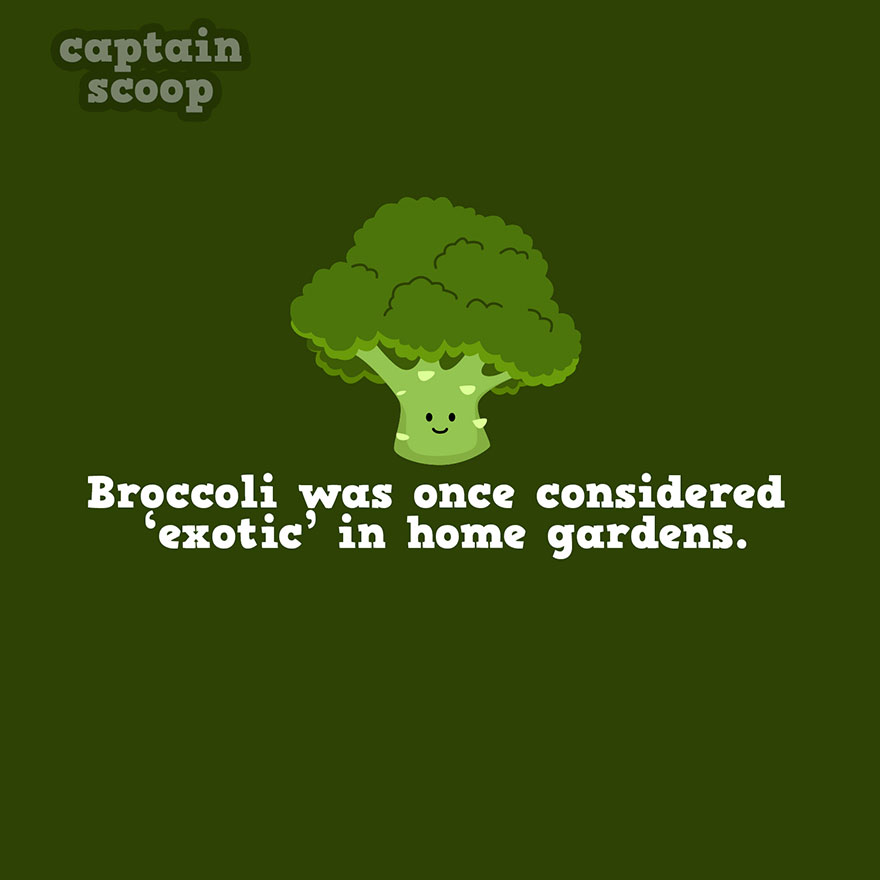Broccoli Fact