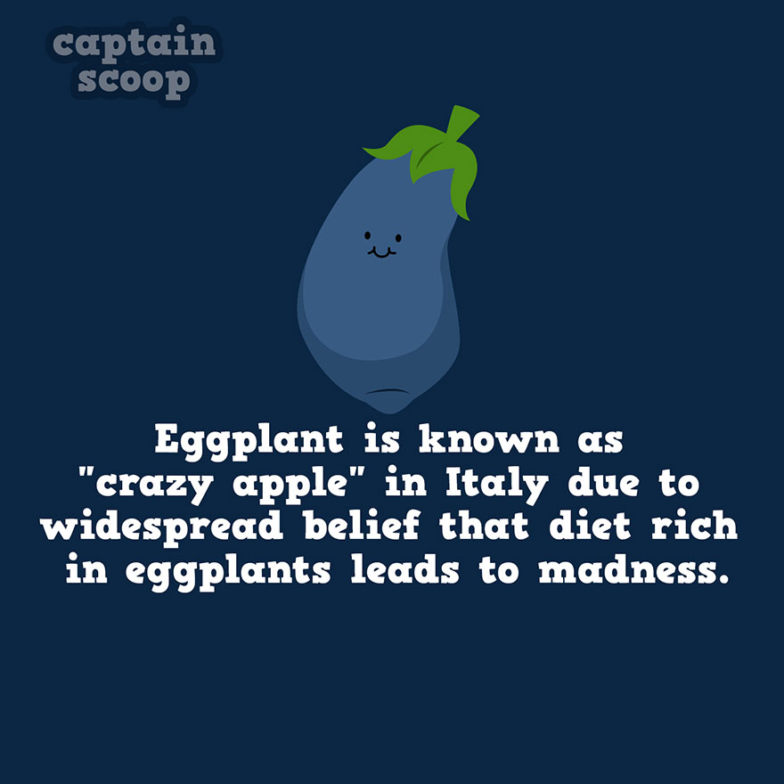 Eggplant Fact