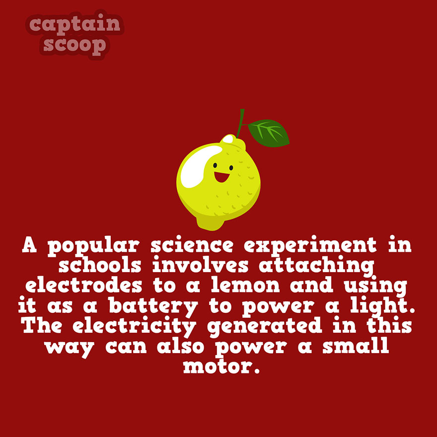 Lemon Fact