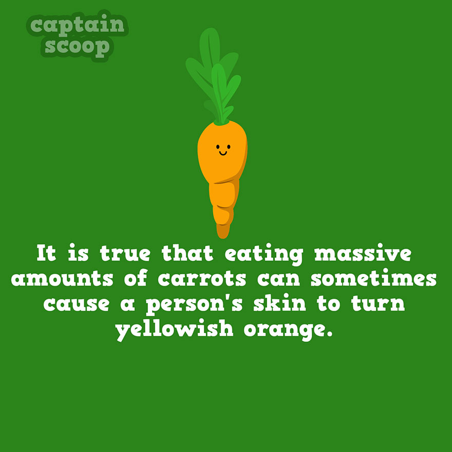 Carrot Fact