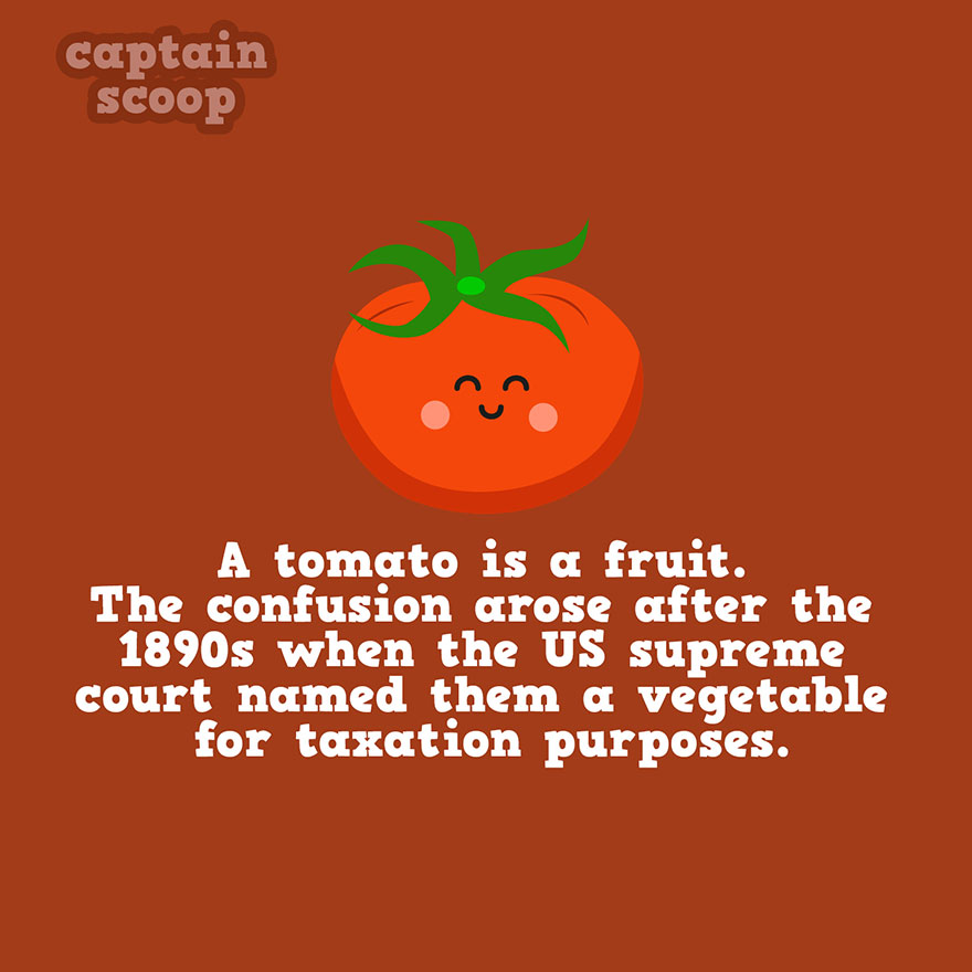 Tomato Fact