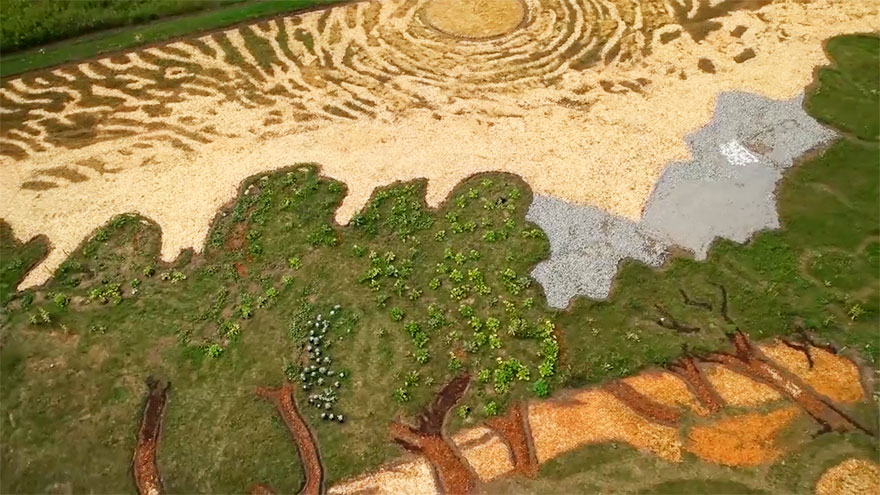 Artist Plants 1.2-Acre Field To Recreate Van Gogh’s 1889 Painting 'Olive Trees'