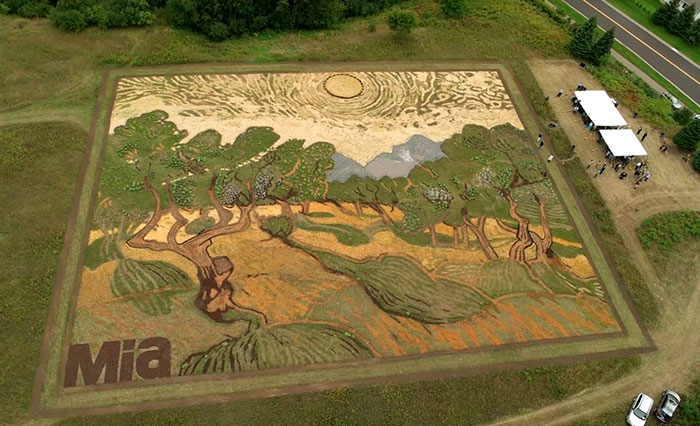 Artist Plants 1.2-Acre Field To Recreate Van Gogh’s 1889 Painting ‘Olive Trees’