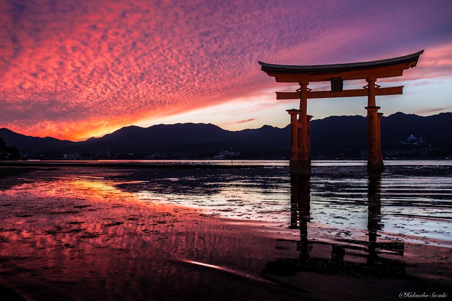 Shrine Floating On The Sea (itsukushima Shrine)